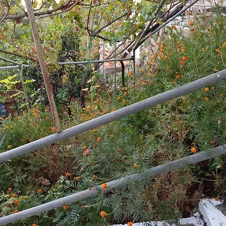 View Kwatera prywatna Himara